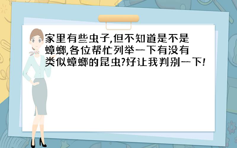 家里有些虫子,但不知道是不是蟑螂,各位帮忙列举一下有没有类似蟑螂的昆虫?好让我判别一下!