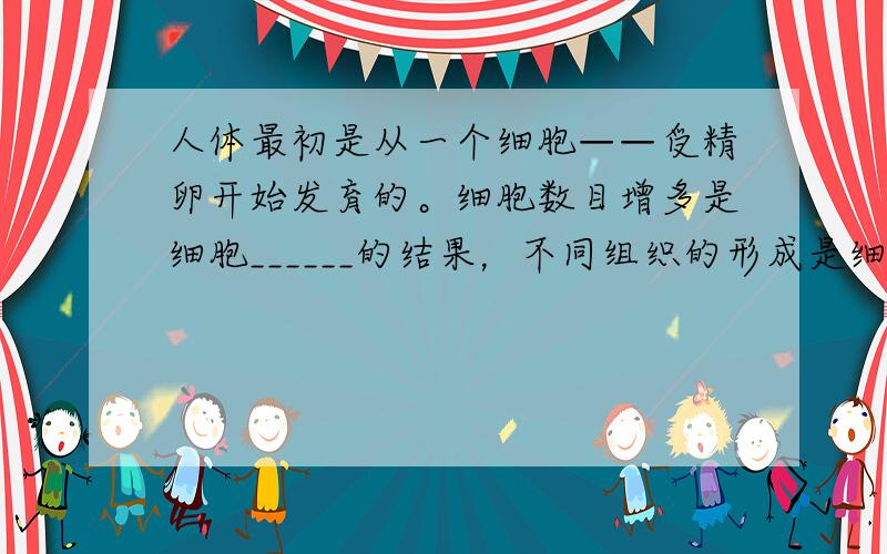 人体最初是从一个细胞——受精卵开始发育的。细胞数目增多是细胞______的结果，不同组织的形成是细胞是____的结果，