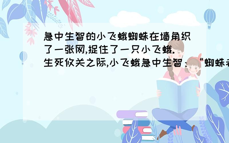 急中生智的小飞蛾蜘蛛在墙角织了一张网,捉住了一只小飞蛾.生死攸关之际,小飞蛾急中生智：“蜘蛛老兄,既然你有织网的本领,为