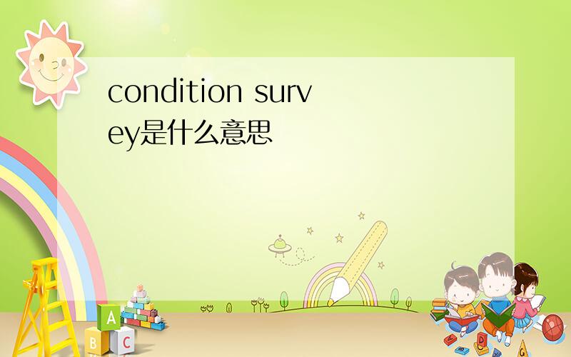 condition survey是什么意思