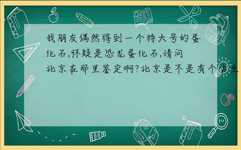 我朋友偶然得到一个特大号的蛋化石,怀疑是恐龙蛋化石,请问北京在那里鉴定啊?北京是不是有个古生物化石研究院啊?