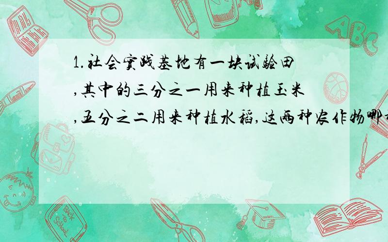 1.社会实践基地有一块试验田,其中的三分之一用来种植玉米,五分之二用来种植水稻,这两种农作物哪种种植面积大?