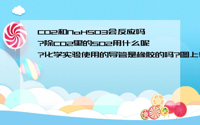 CO2和NaHSO3会反应吗?除CO2里的SO2用什么呢?化学实验使用的导管是橡胶的吗?图上很多导管都像是玻璃的.