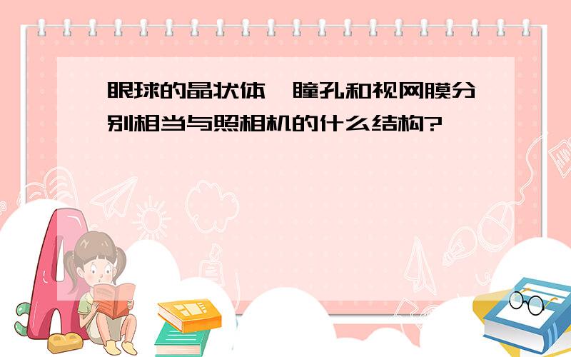 眼球的晶状体、瞳孔和视网膜分别相当与照相机的什么结构?