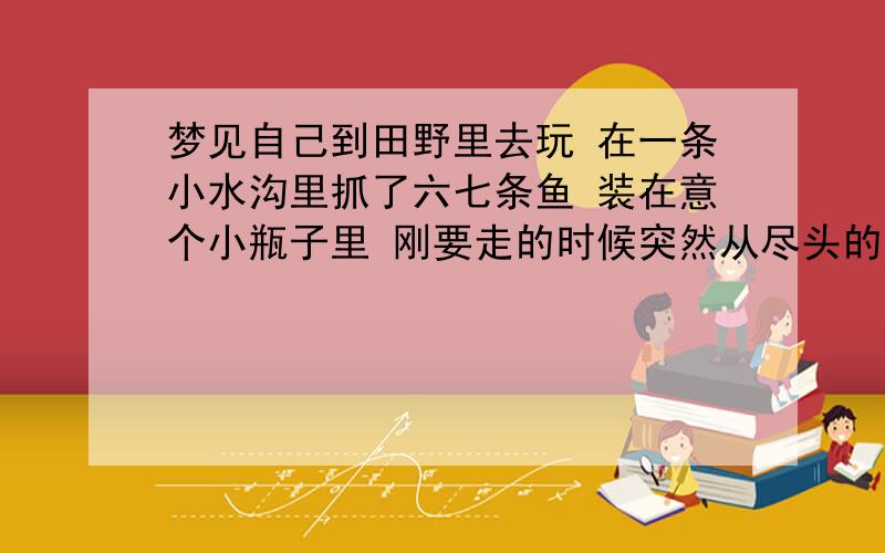 梦见自己到田野里去玩 在一条小水沟里抓了六七条鱼 装在意个小瓶子里 刚要走的时候突然从尽头的洞里钻出一条透明的龙 说是好