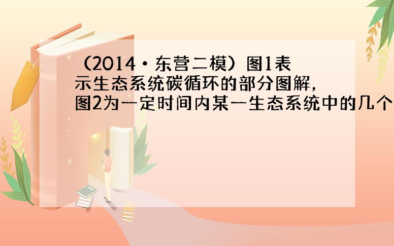 （2014•东营二模）图1表示生态系统碳循环的部分图解，图2为一定时间内某一生态系统中的几个种群数量变化曲线，图3为科学