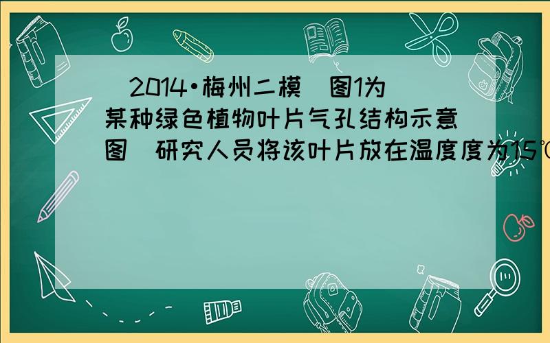 （2014•梅州二模）图1为某种绿色植物叶片气孔结构示意图．研究人员将该叶片放在温度度为15℃的密闭弃器中，研究光照强度