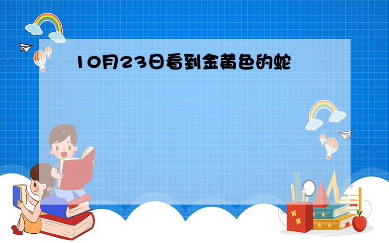 10月23日看到金黄色的蛇