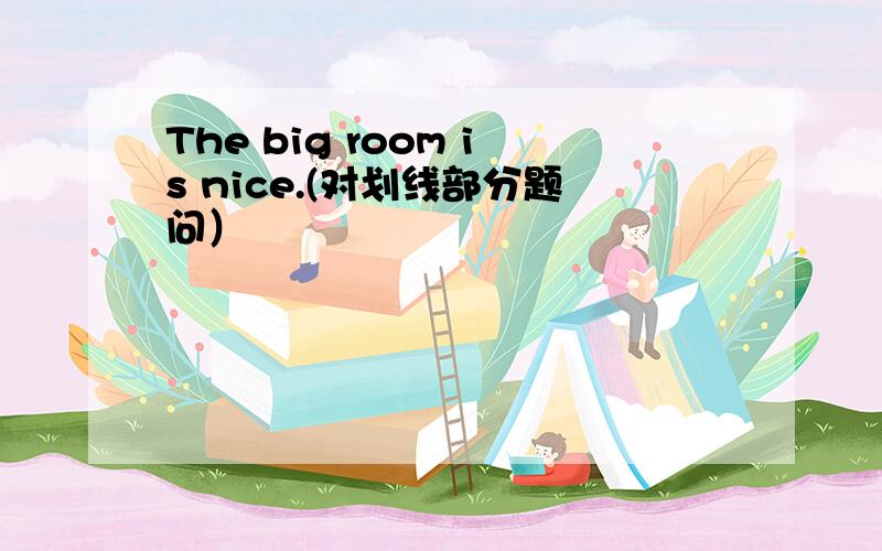 The big room is nice.(对划线部分题问）