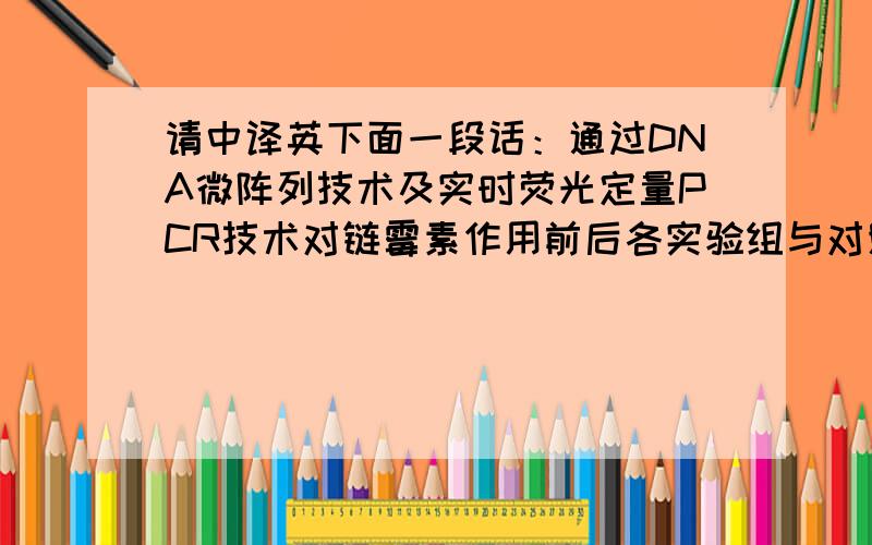 请中译英下面一段话：通过DNA微阵列技术及实时荧光定量PCR技术对链霉素作用前后各实验组与对照组肿瘤干细胞全基因表达谱进