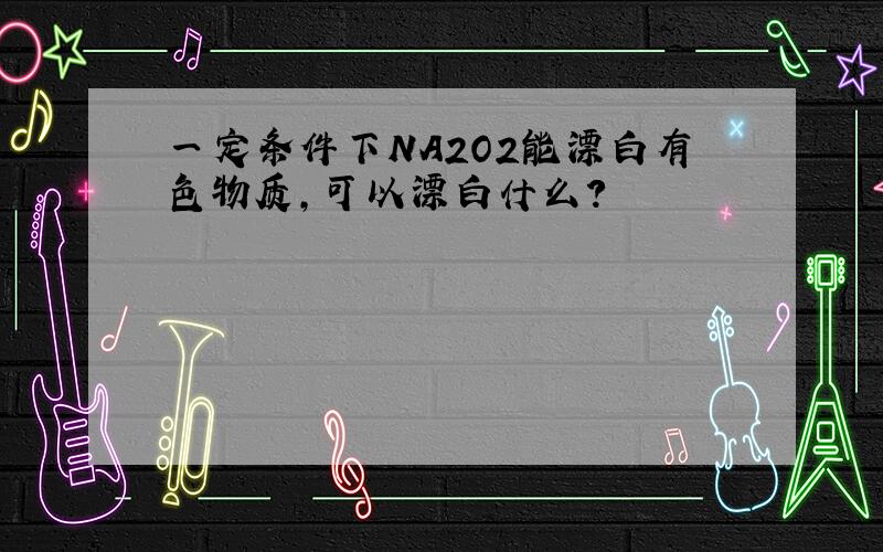 一定条件下NA2O2能漂白有色物质,可以漂白什么?