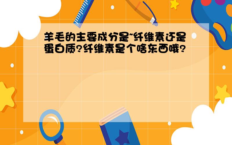 羊毛的主要成分是~纤维素还是蛋白质?纤维素是个啥东西哦?