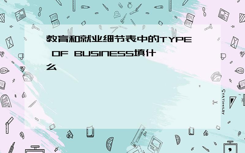 教育和就业细节表中的TYPE OF BUSINESS填什么