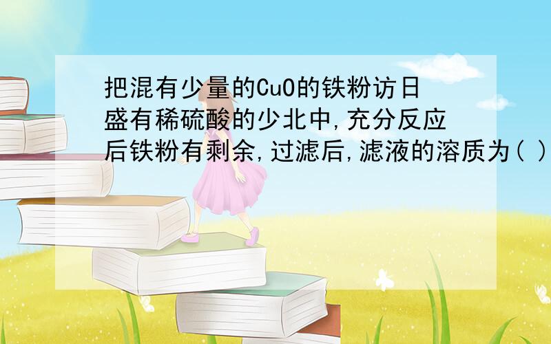 把混有少量的CuO的铁粉访日盛有稀硫酸的少北中,充分反应后铁粉有剩余,过滤后,滤液的溶质为( )