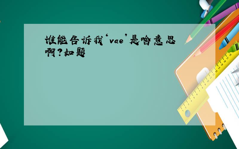 谁能告诉我‘vae’是啥意思啊?如题