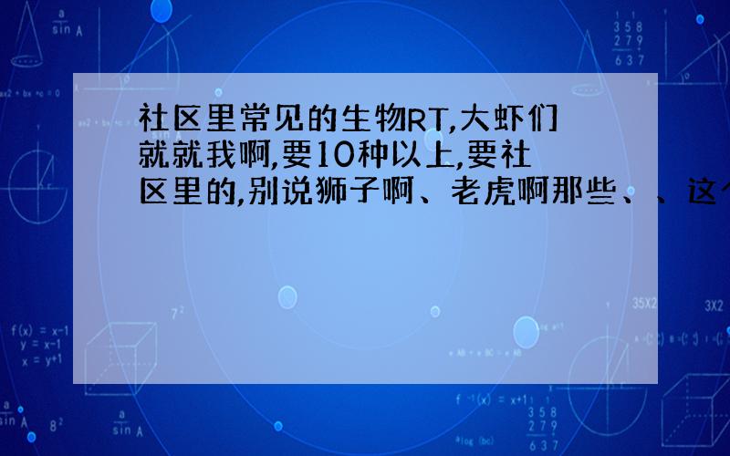 社区里常见的生物RT,大虾们就就我啊,要10种以上,要社区里的,别说狮子啊、老虎啊那些、、这个问题将于明天关闭、、、也有