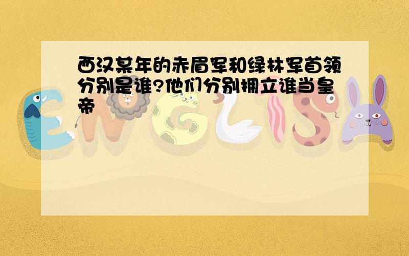 西汉某年的赤眉军和绿林军首领分别是谁?他们分别拥立谁当皇帝