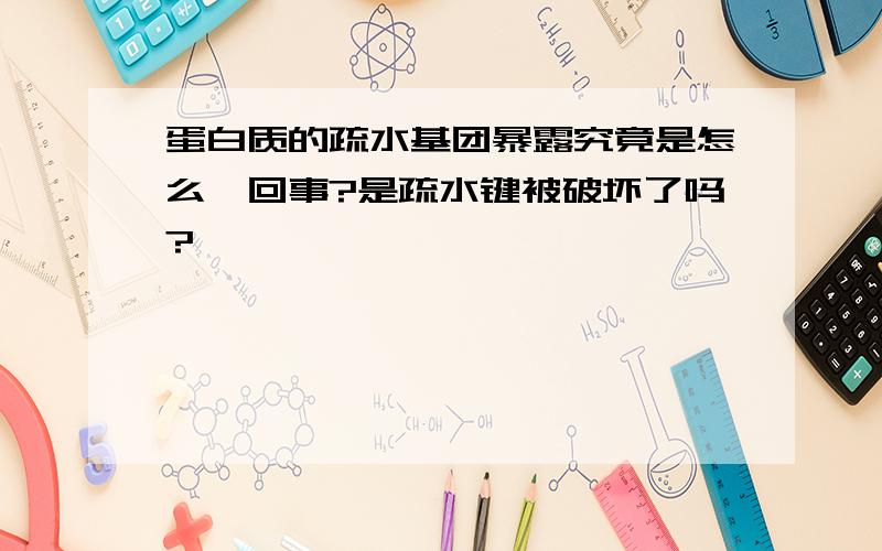 蛋白质的疏水基团暴露究竟是怎么一回事?是疏水键被破坏了吗?