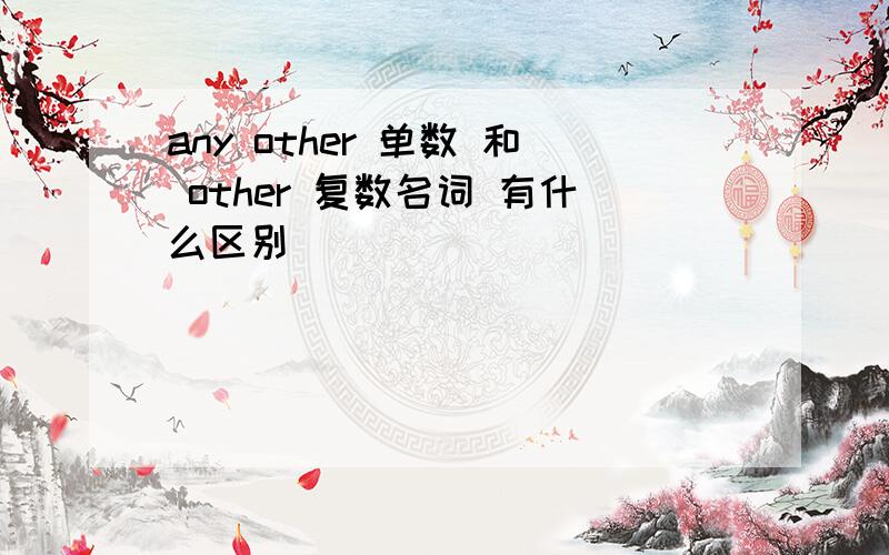 any other 单数 和 other 复数名词 有什么区别