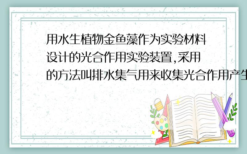 用水生植物金鱼藻作为实验材料设计的光合作用实验装置,采用的方法叫排水集气用来收集光合作用产生的气体