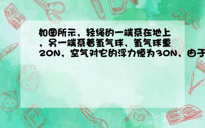 如图所示，轻绳的一端系在地上，另一端系着氢气球，氢气球重20N，空气对它的浮力恒为30N，由于受恒定水平风力作用，使系氢