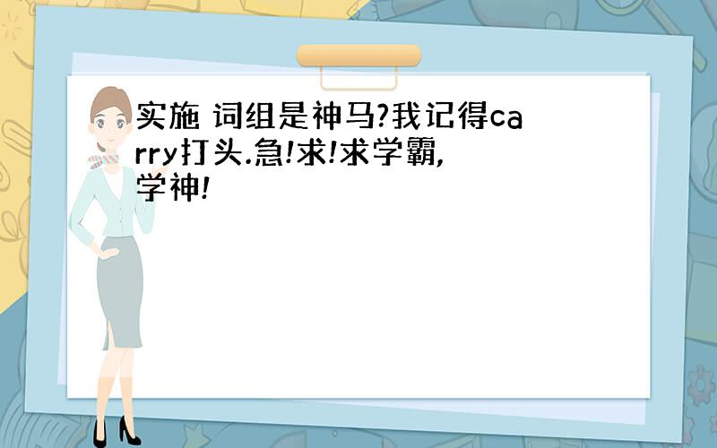 实施 词组是神马?我记得carry打头.急!求!求学霸,学神!