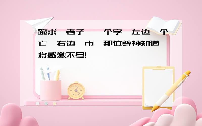 跪求《老子》一个字,左边一个亡,右边一巾,那位尊神知道,将感激不尽!