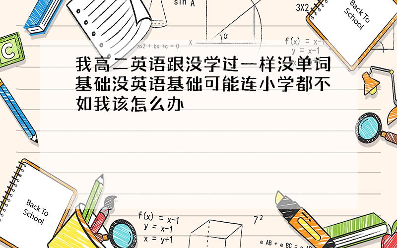 我高二英语跟没学过一样没单词基础没英语基础可能连小学都不如我该怎么办