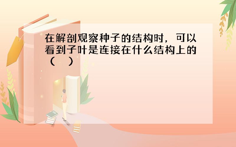 在解剖观察种子的结构时，可以看到子叶是连接在什么结构上的（　　）