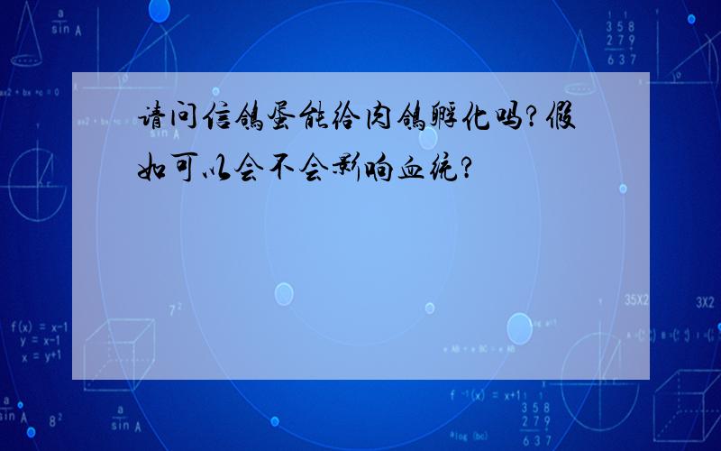 请问信鸽蛋能给肉鸽孵化吗?假如可以会不会影响血统?