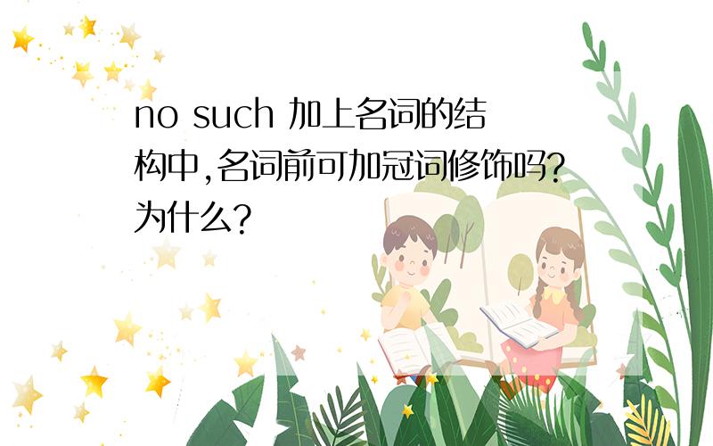 no such 加上名词的结构中,名词前可加冠词修饰吗?为什么?