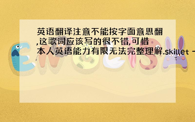 英语翻译注意不能按字面意思翻,这歌词应该写的很不错,可惜本人英语能力有限无法完整理解.skillet - lucyhey