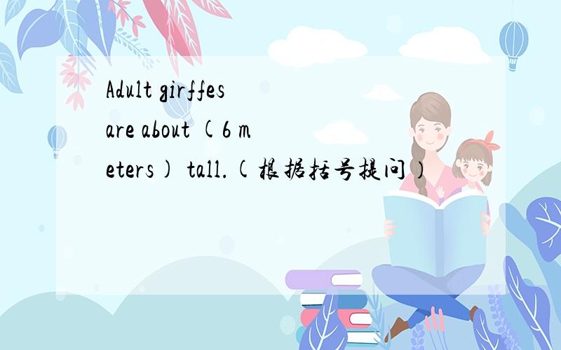 Adult girffes are about (6 meters) tall.(根据括号提问）