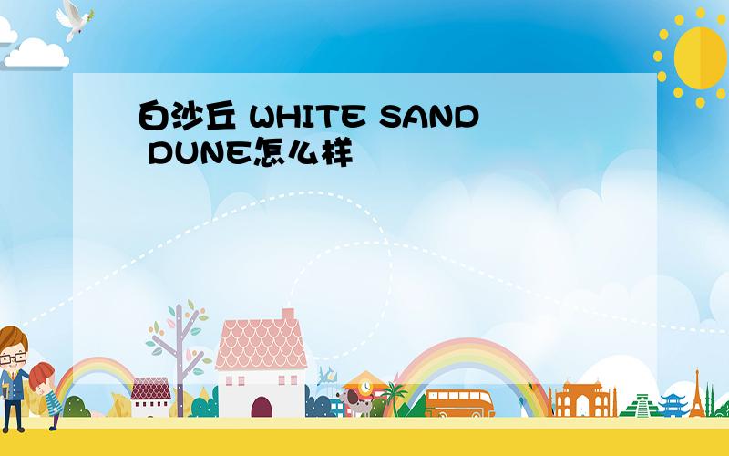 白沙丘 WHITE SAND DUNE怎么样