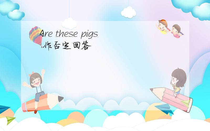 Are these pigs 作否定回答