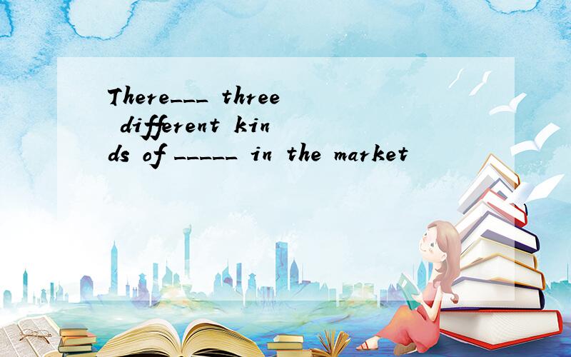 There___ three different kinds of _____ in the market