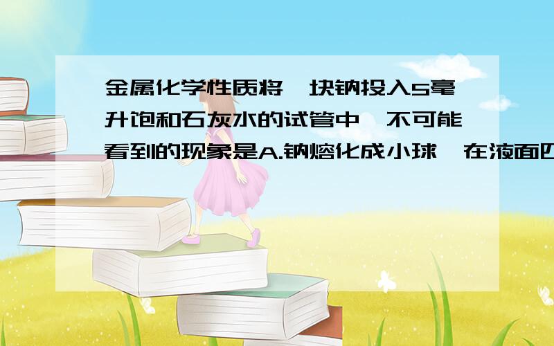 金属化学性质将一块钠投入5毫升饱和石灰水的试管中,不可能看到的现象是A.钠熔化成小球,在液面四处游动B.有气体产生C.溶