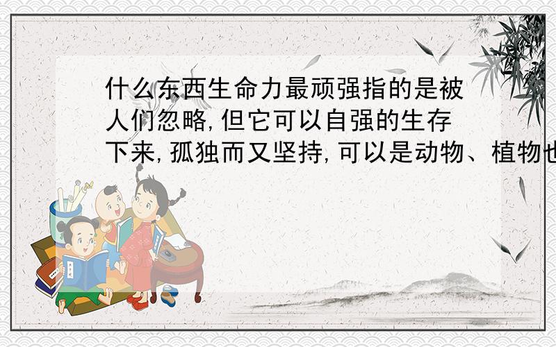 什么东西生命力最顽强指的是被人们忽略,但它可以自强的生存下来,孤独而又坚持,可以是动物、植物也可以是其他的……谢谢……