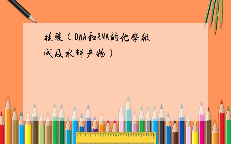 核酸(DNA和RNA的化学组成及水解产物)