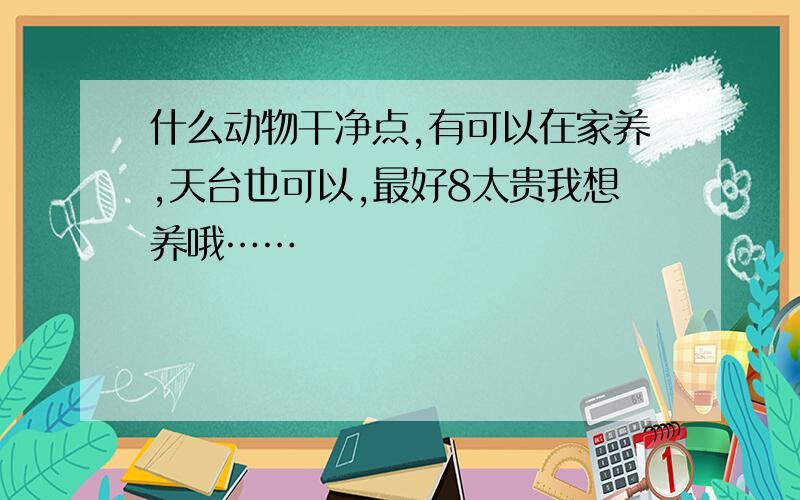 什么动物干净点,有可以在家养,天台也可以,最好8太贵我想养哦……