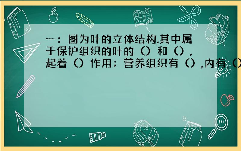 一：图为叶的立体结构.其中属于保护组织的叶的（）和（）,起着（）作用；营养组织有（）,内有（）,