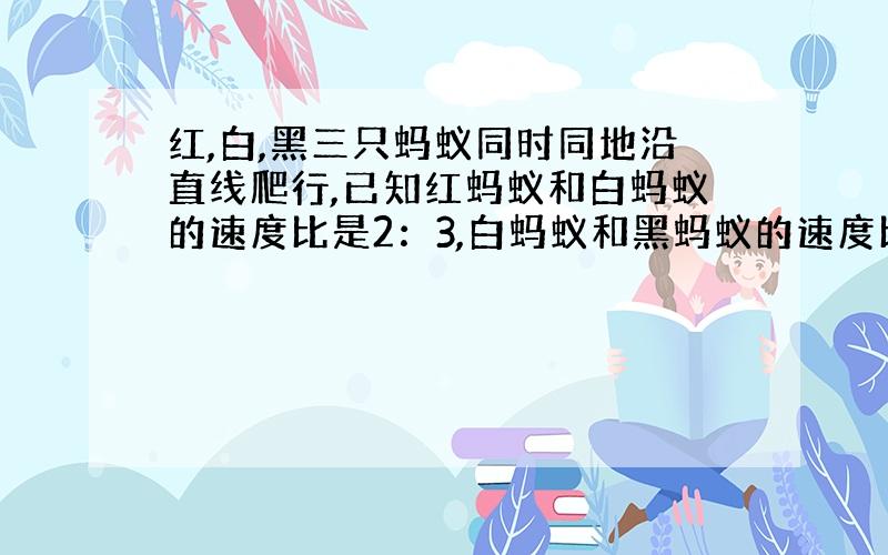 红,白,黑三只蚂蚁同时同地沿直线爬行,已知红蚂蚁和白蚂蚁的速度比是2：3,白蚂蚁和黑蚂蚁的速度比是5：3.当红蚂蚁爬了2