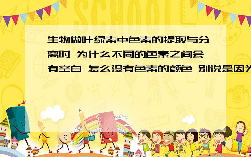 生物做叶绿素中色素的提取与分离时 为什么不同的色素之间会有空白 怎么没有色素的颜色 别说是因为溶解度不