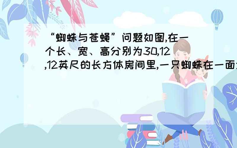 “蜘蛛与苍蝇”问题如图,在一个长、宽、高分别为30,12,12英尺的长方体房间里,一只蜘蛛在一面墙的中间离天花板1英尺的