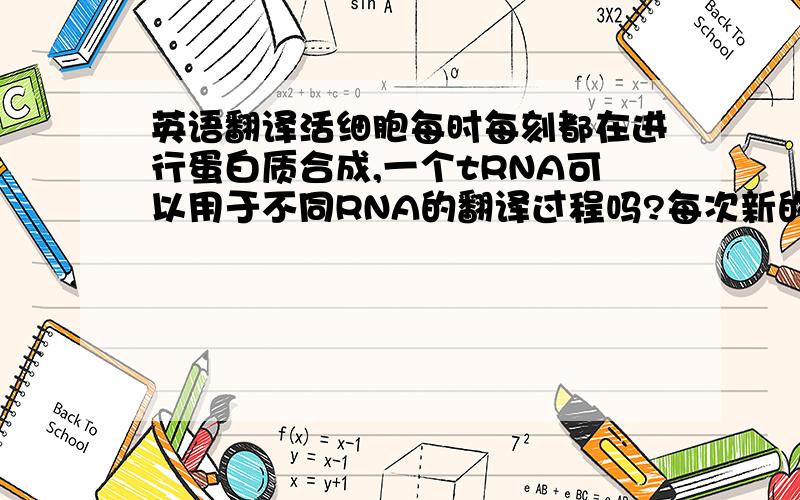 英语翻译活细胞每时每刻都在进行蛋白质合成,一个tRNA可以用于不同RNA的翻译过程吗?每次新的mRNA翻译都需要现合成t