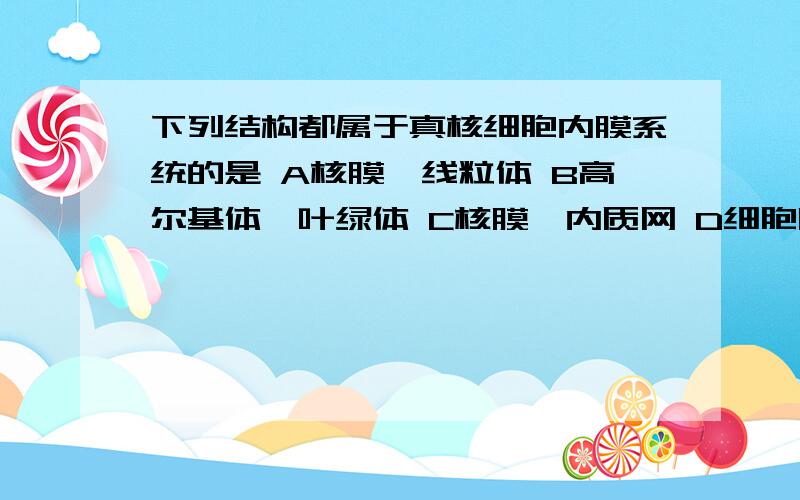 下列结构都属于真核细胞内膜系统的是 A核膜,线粒体 B高尔基体,叶绿体 C核膜,内质网 D细胞膜,叶绿体