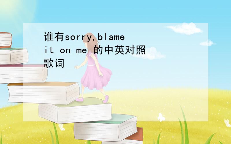 谁有sorry,blame it on me 的中英对照歌词