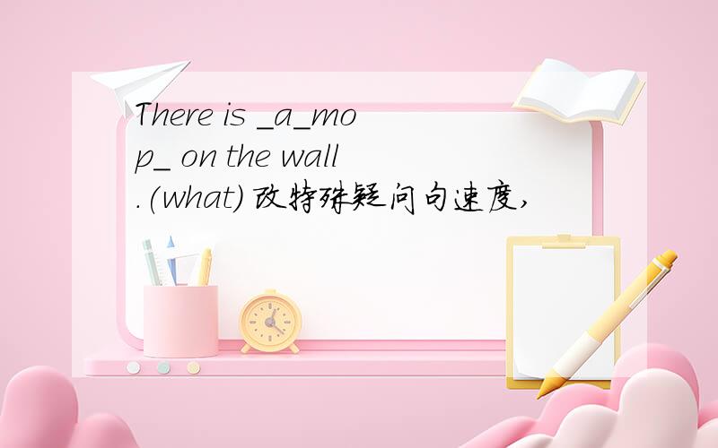 There is _a_mop_ on the wall.(what) 改特殊疑问句速度,