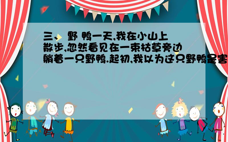 三、 野 鸭一天,我在小山上散步,忽然看见在一束枯草旁边躺着一只野鸭.起初,我以为这只野鸭是害怕被人发现,藏在那儿的,就