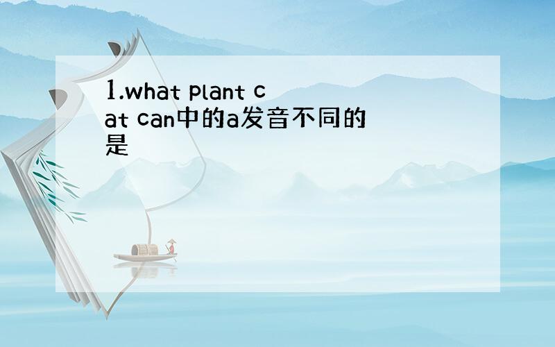 1.what plant cat can中的a发音不同的是